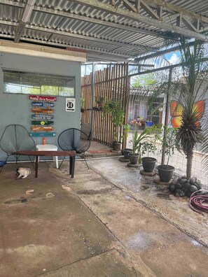 Apartamento, 1 quarto | Terraço/pátio