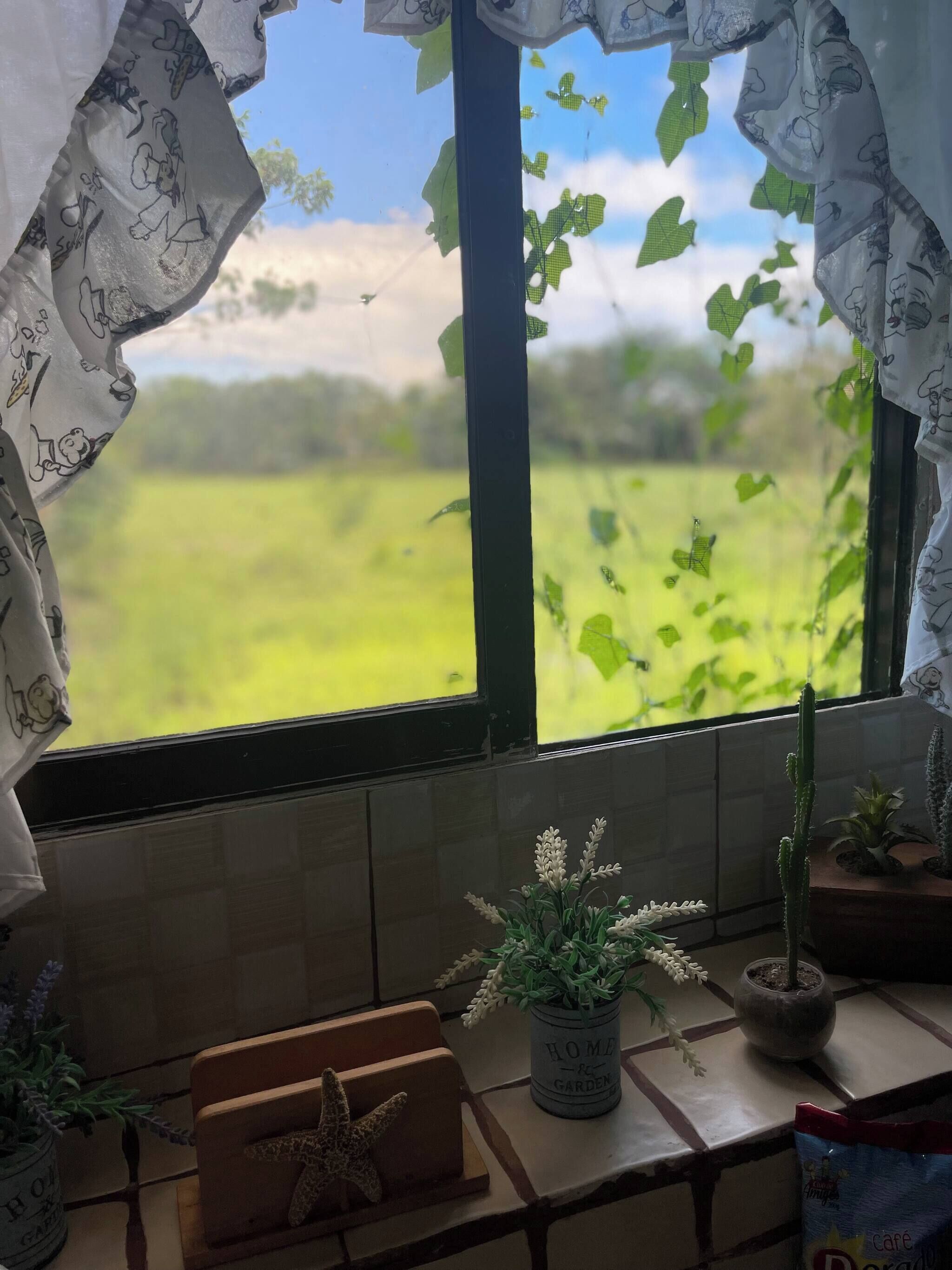 Departamento, 1 habitación | Vista desde la propiedad