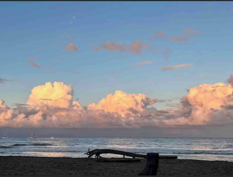 Playa