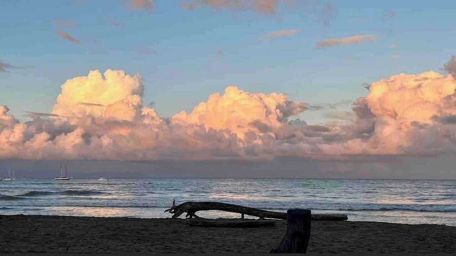 Hidden House Casa Escondida