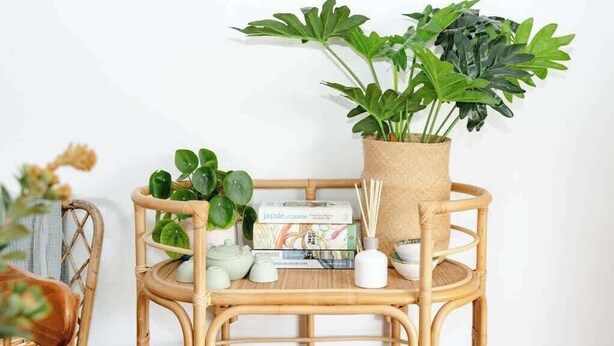 A wicker chair with a small table, a potted plant, and a box of tea.