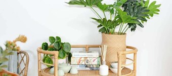 Salt bush cottage Peterborough