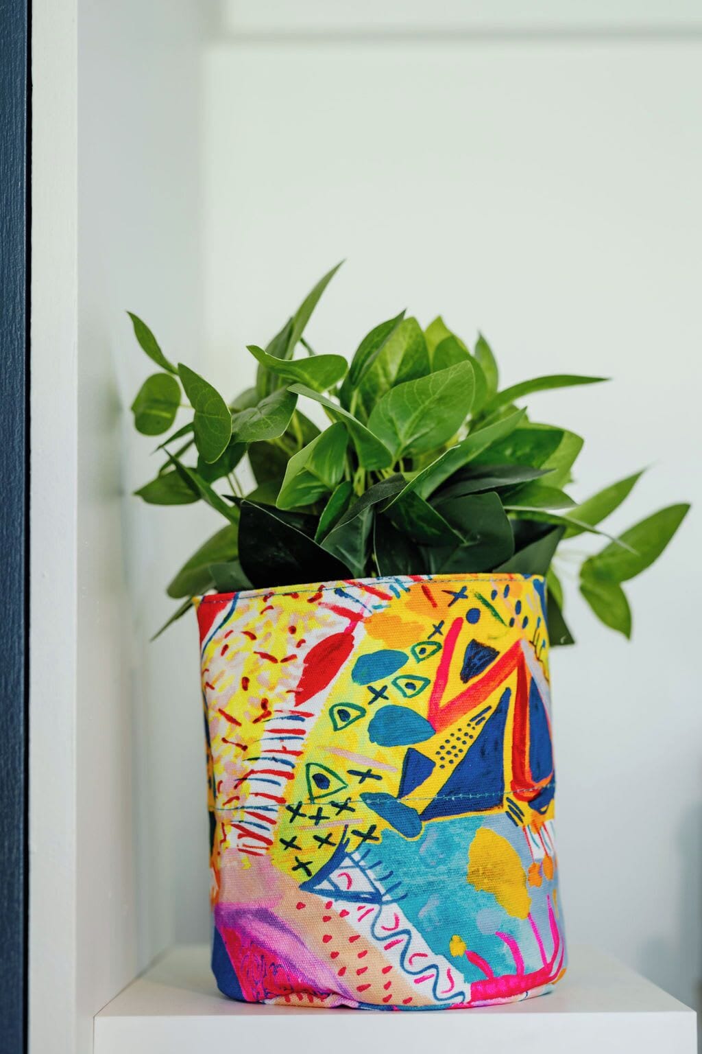 A colorful pot with a geometric pattern containing green foliage.
