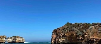 The Shark Haus Summar