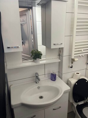 Apartment, 1 Bedroom, Accessible, Smoking | Bathroom - Big Beautiful Appartement in Center of Antwerpen (Antwerp)