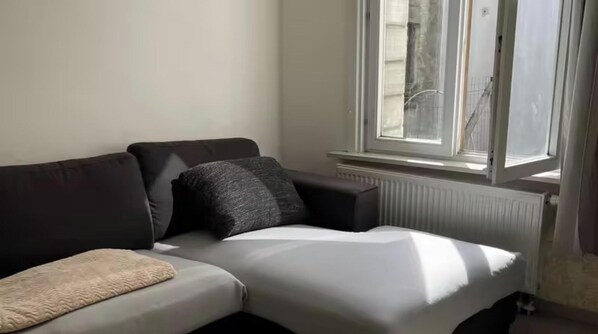 Living room - Big Beautiful Appartement in Center of Antwerpen (Antwerp)