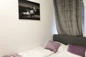 1 bedroom, WiFi, bed sheets