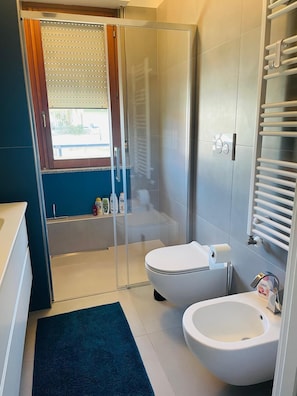 Shower, hair dryer, bidet, towels