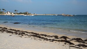 Een strand met zeewier, kalm water en huizen in de verte.