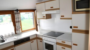 A compact kitchen with a dishwasher, oven, and a built-in microwave. - Gästehaus Weilerhof – Very Quiet and Sunny Location (Todtnauberg)
