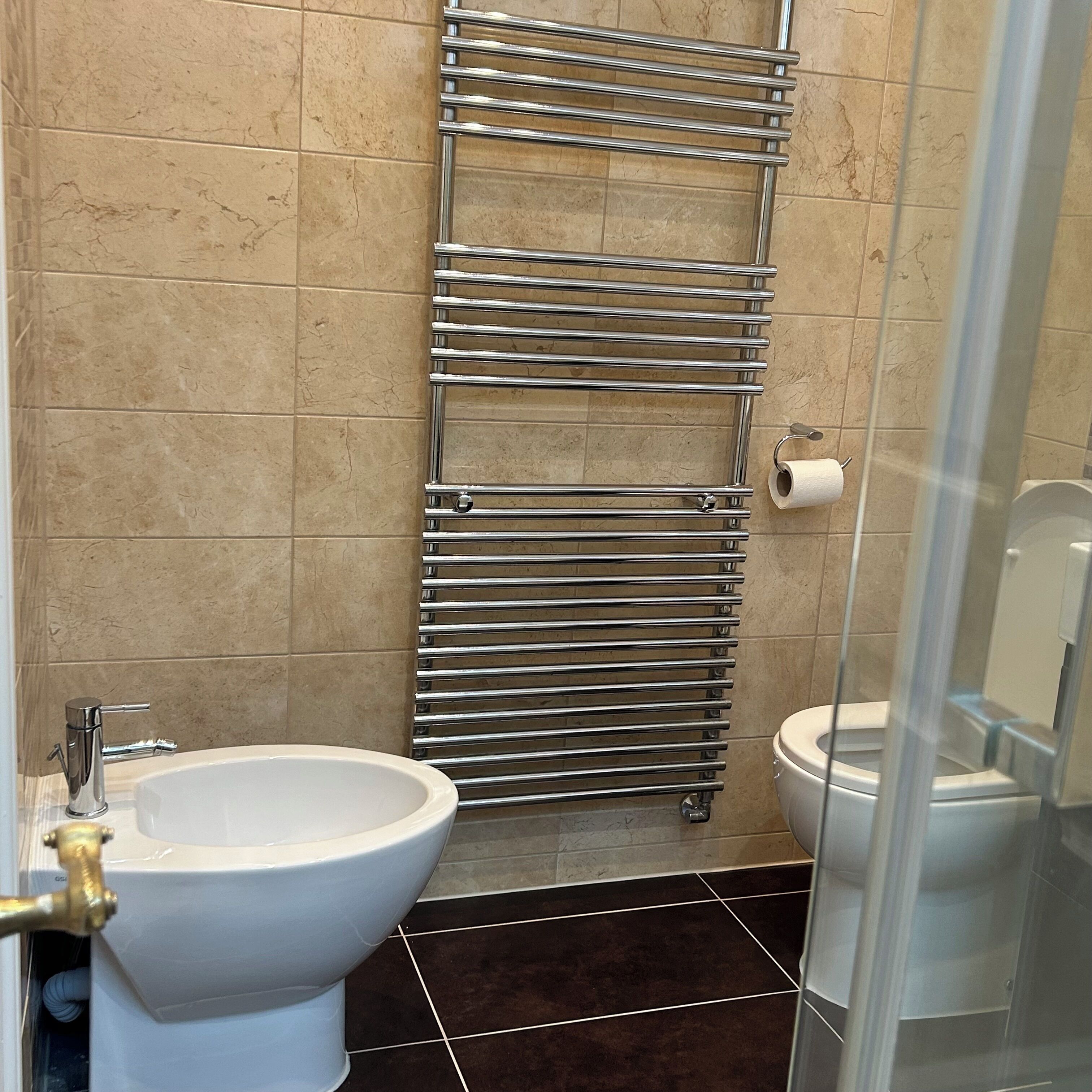 Shower, bidet, towels, soap