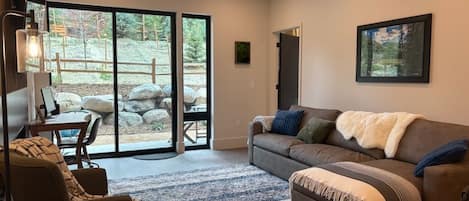 TV, fireplace, video games, DVD player