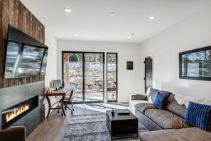 TV, fireplace, video games, DVD player