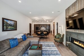 TV, fireplace, video games, DVD player