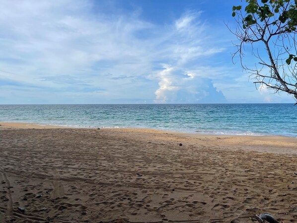 海滩