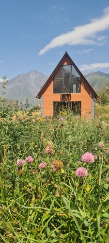 Cottage "Cozy Yard" With mountain views in Kazbegi