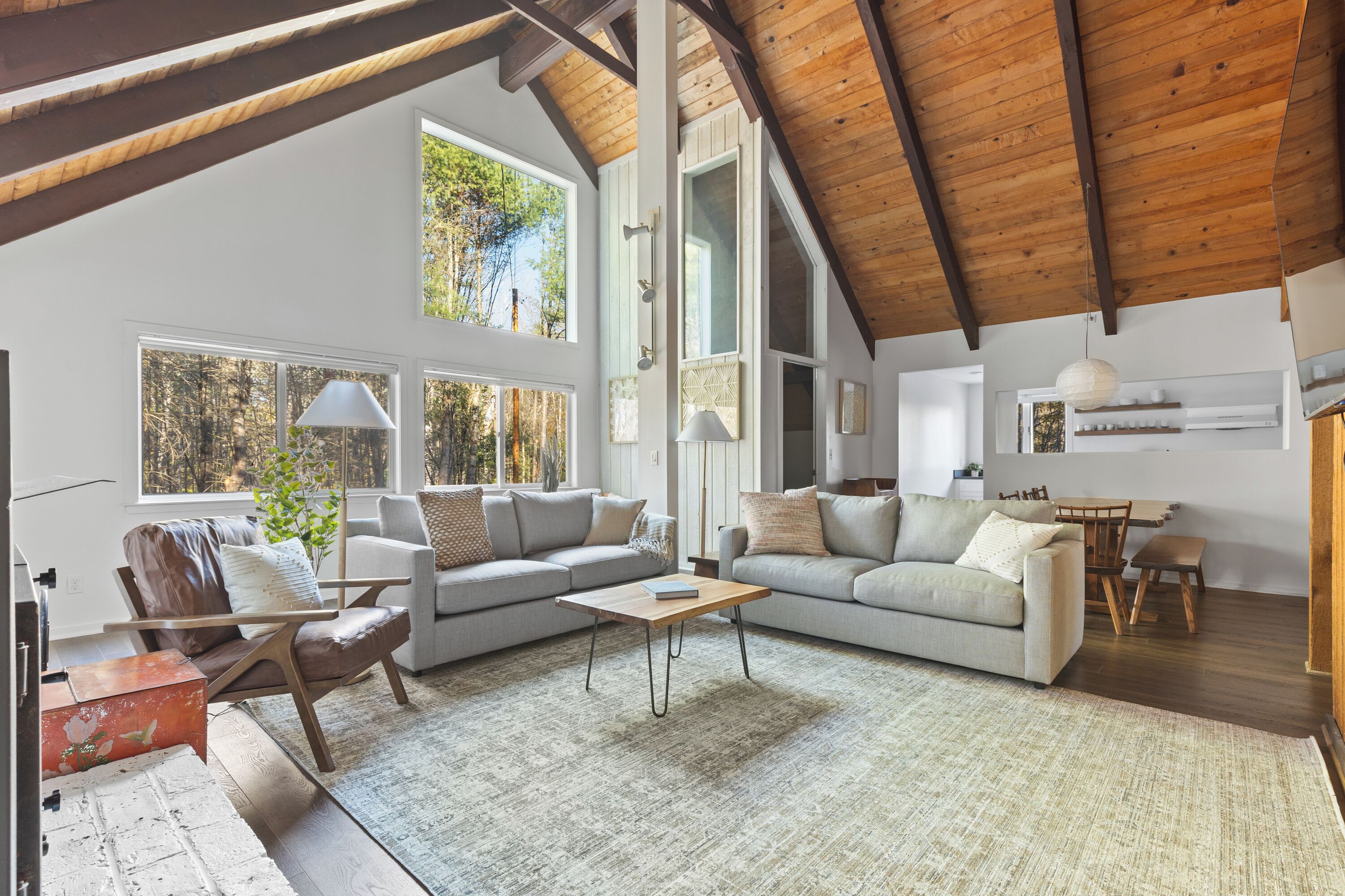 Smart-tv, pejs, bøger, stereoanlæg