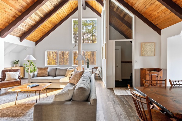 Smart TV, fireplace, books, stereo