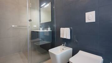 A modern bathroom with a glass shower enclosure, a bidet, and a toilet.
