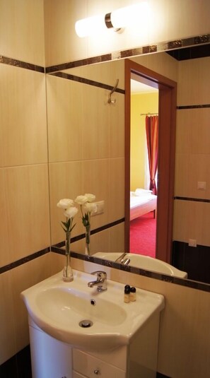 Single Room, Mountain View
