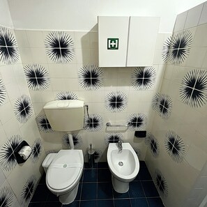 Shower, hair dryer, bidet, towels