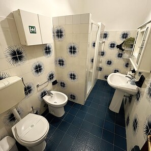 Shower, hair dryer, bidet, towels