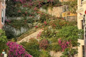 Un escalier doté d’une rampe, entouré d’une végétation luxuriante et de plantes en fleurs.
