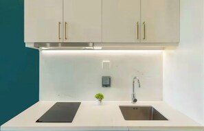 Een moderne keuken met twee spoelbakken, een klein plantje en een inbouwoven.