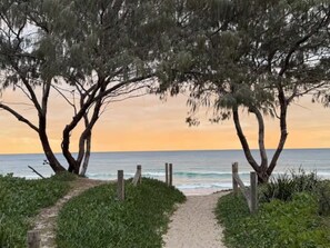 A coastal path leading to the beach with trees and a fence.