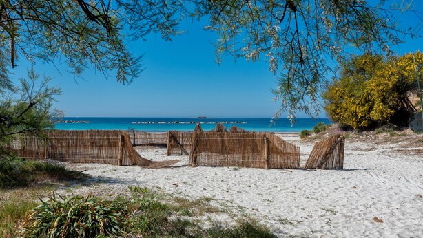 Strand