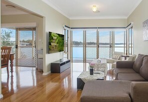 Smart TV, fireplace, books