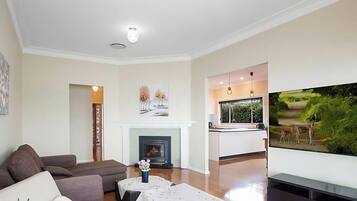 Smart TV, fireplace, books