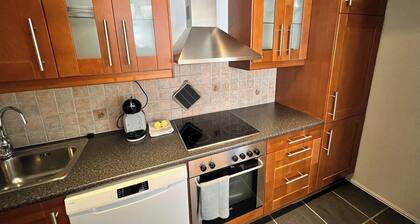 Central 1BR apartment (D14D)