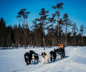 Snow and ski sports