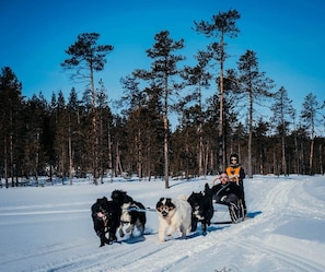 Snow and ski sports