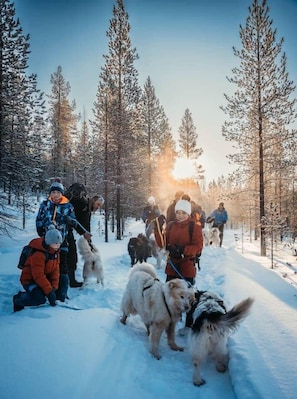 Snow and ski sports