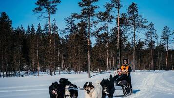 Sne- og skisport