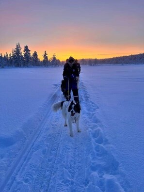 Snow and ski sports