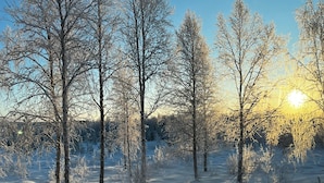 A snowy landscape with trees and a clear sky. - Lodge Arctic 4 – sauna, toit vitré & vue lac Inari (Inari)
