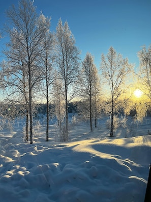 Lumipeitteinen maisema, jossa on puita ja kirkas taivas.