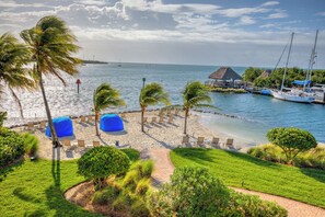 A beachside resort with a clear view of the ocean, palm trees, and a dock with boats.