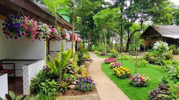 Um caminho serpenteia por um jardim exuberante, com diversas plantas e flores.