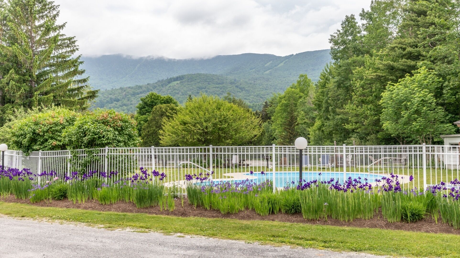 Apartment, 1 Schlafzimmer | Pool | Innenpool