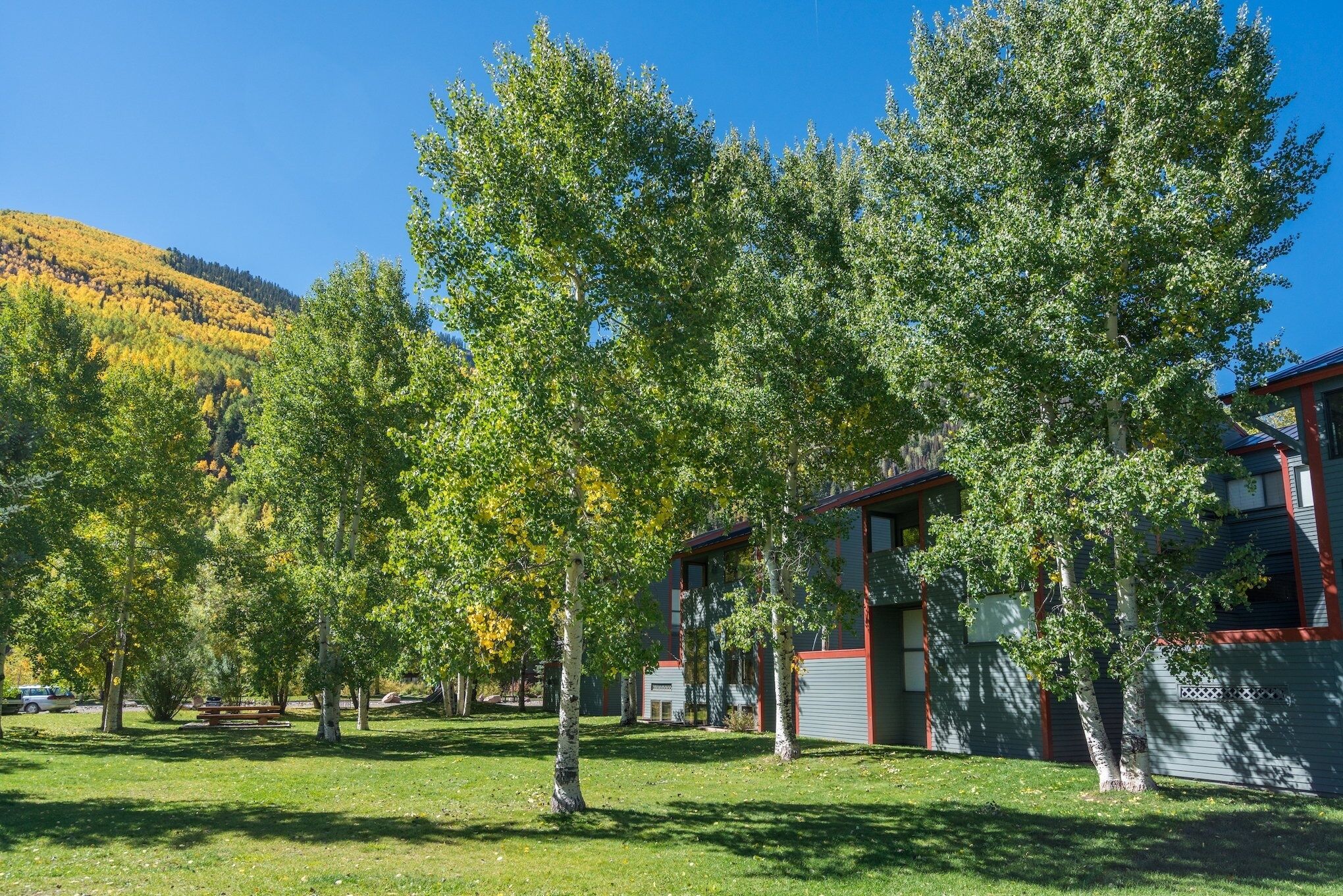 Studio, 1 Bedroom | Property grounds