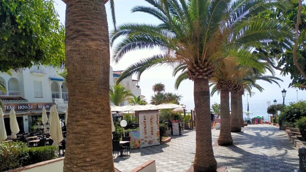 A paved walkway lined with palm trees, outdoor seating for a restaurant, and a view of the sea in the background.