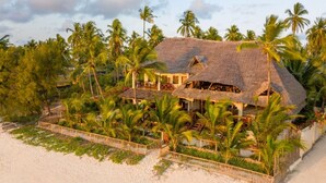 A beachfront property with a thatched-roof main building, surrounded by palm trees and a sandy beach. - Hekaya Zanzibar (Michamvi)