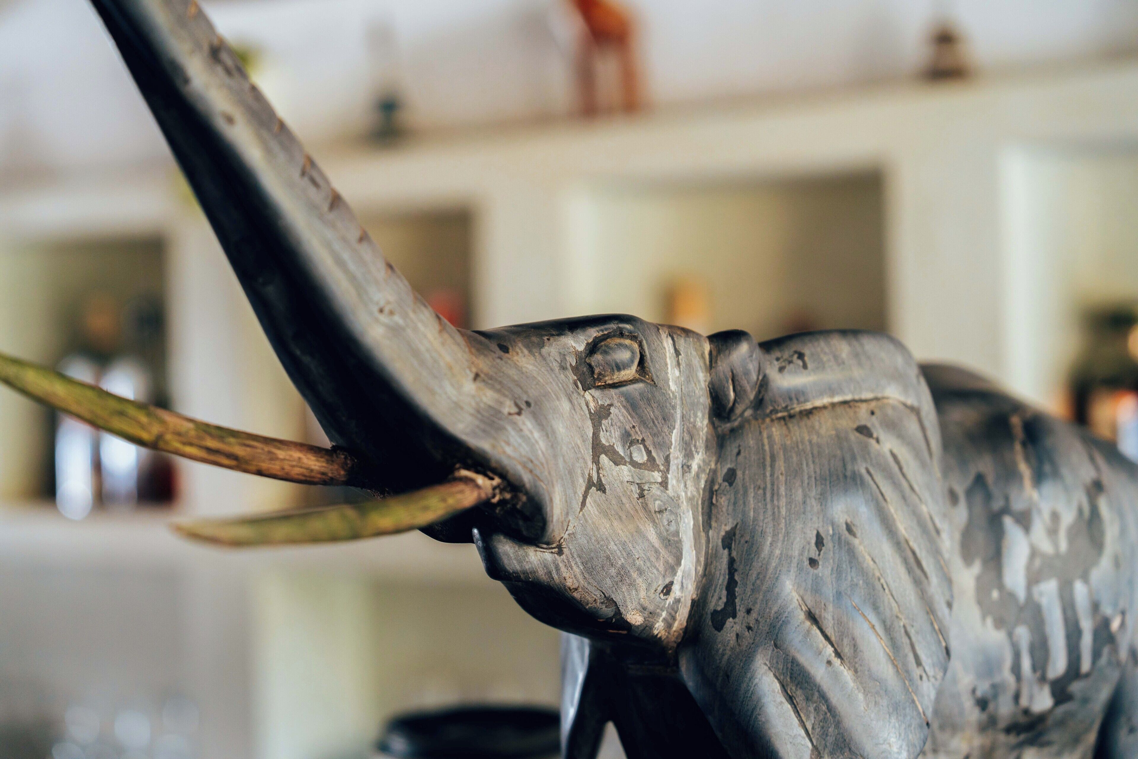 A close-up of a sculpture with a textured surface and a protruding horn.
