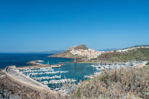 A coastal marina with boats, a fortified hilltop, and a town below.