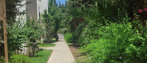 Jardin
