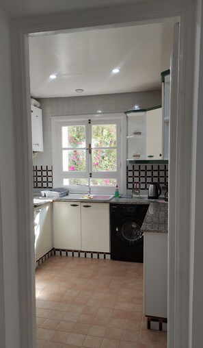 A kitchen with a washing machine, a sink, and a window with a view of pink flowers.